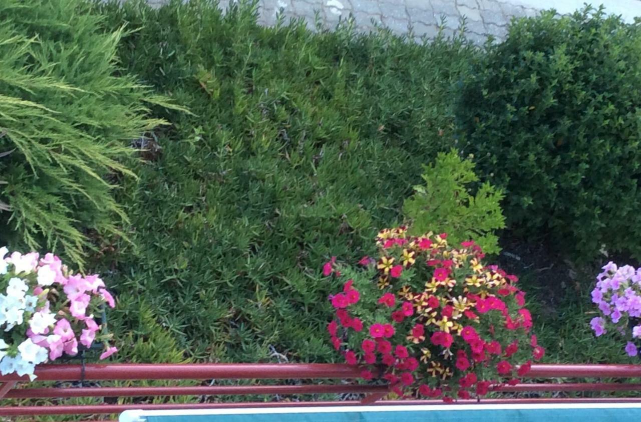 בית הארחה מסאו פריו 	Casa No Douro מראה חיצוני תמונה